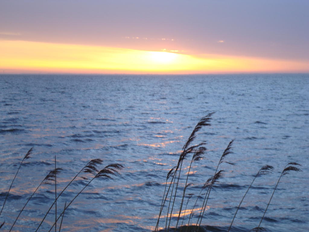 Hjarbaek Bed And Breakfast エクステリア 写真